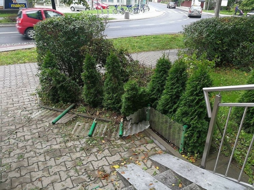 Wypadek w Krakowie. Kobieta wjechała... do ogródka [ZDJĘCIA]