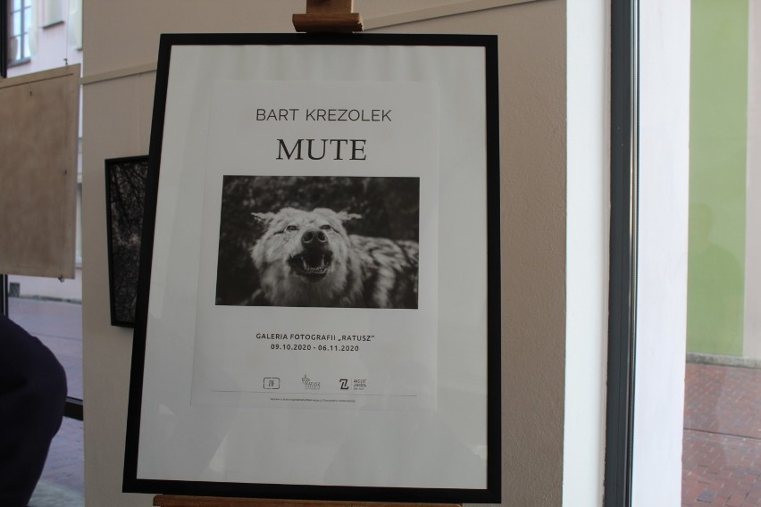 Otwarcie wystawy fotografii "Mute". Zobacz zdjęcia