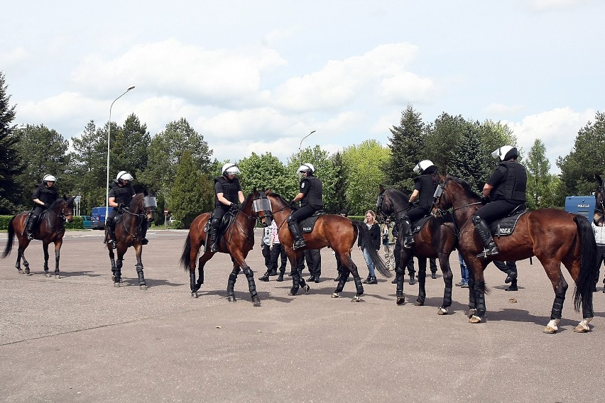 Atestacja koni policyjnych w Łodzi [ZDJĘCIA+FILM]