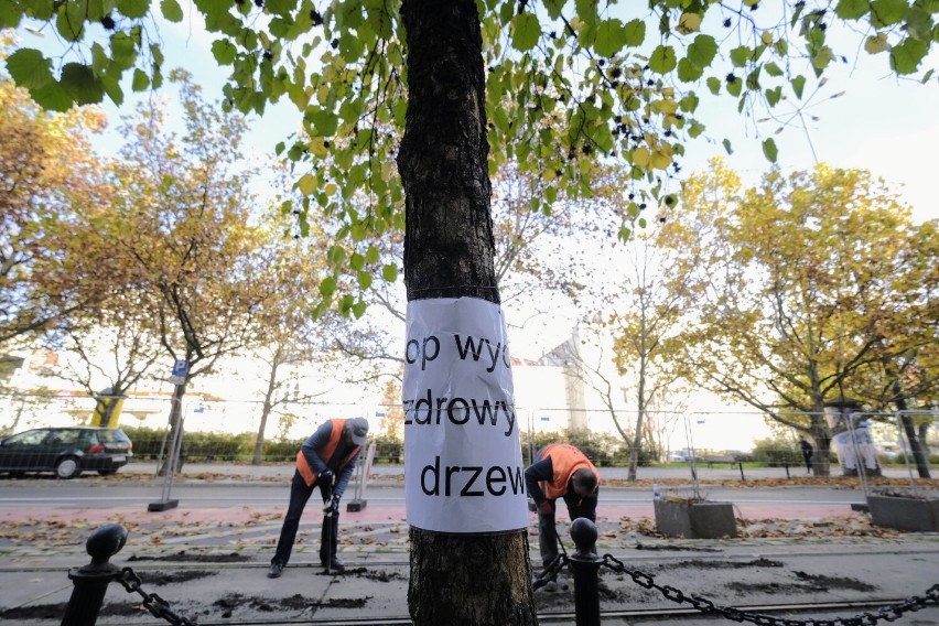 Mimo licznych protestów mieszkańców i sprzeciwu miejskich...