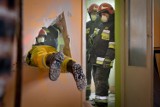 Świeccy strażacy ćwiczą ratowanie poszkodowanych poprzez wyburzanie budynków na trasie S5 [zdjęcia]