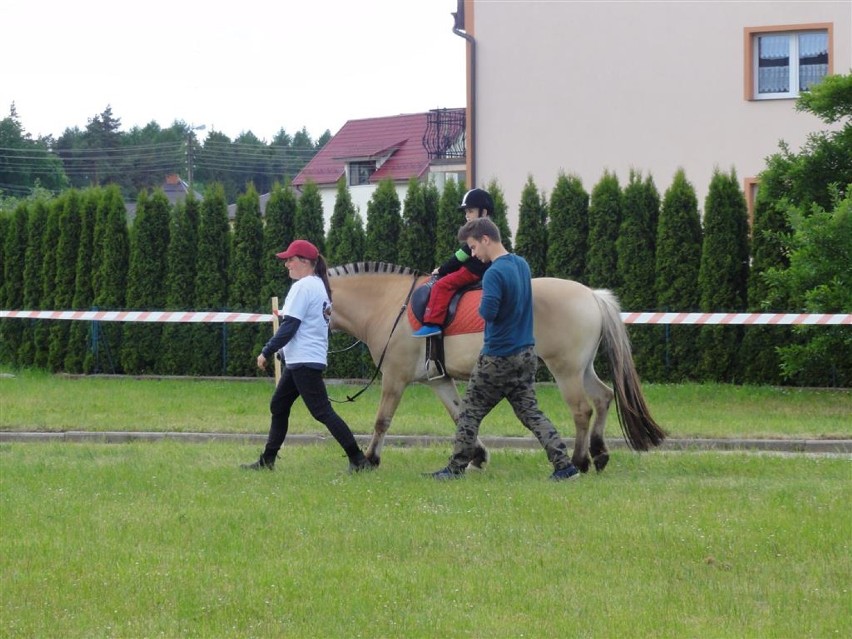 Festyn Bawmy się w Kartuzach 20-06-2015