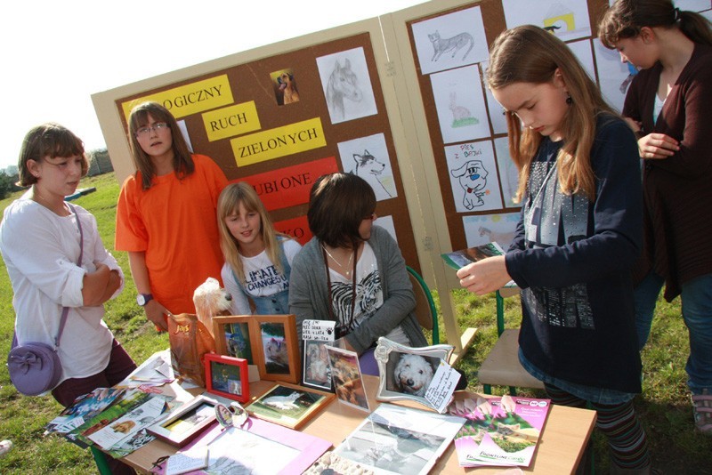 Syców: Wystawa zwierzątek osiedlowych