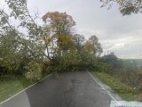 Powiat sławieński: Wiatr łamie gałęzie i przewraca drzewa. Strażacy mają pełne ręce roboty
