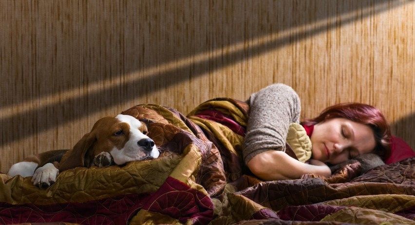 Spanie z psem może przynieść człowiekowi wiele korzyści, co...
