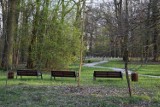 Park folwarczny w Lubieszowie, w gminie Nowa Sól to nowe miejsce do rekreacji