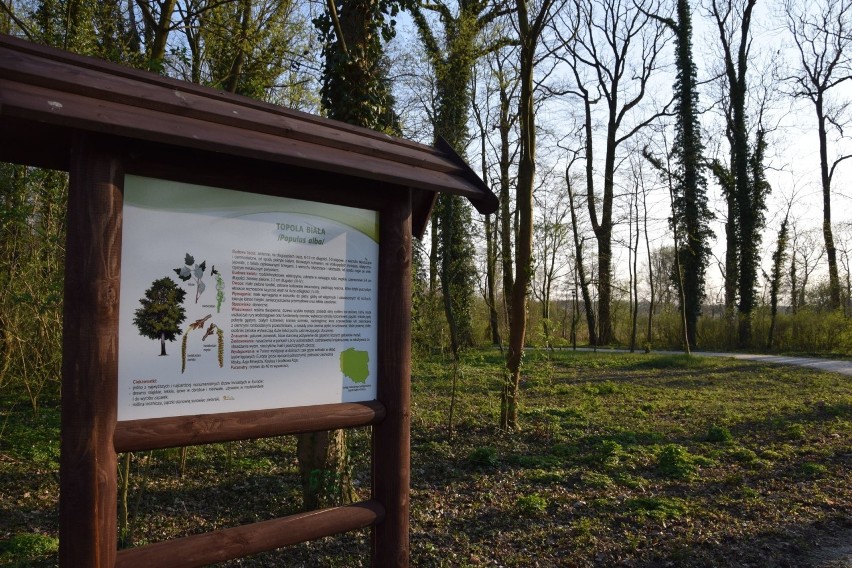 Park Folwarczny w Lubieszowie to nowa atrakcja w okolicy...