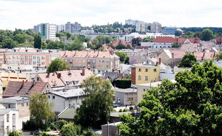 Mieszkańcy Zielonej Góry są jak najbardziej za powstanie...