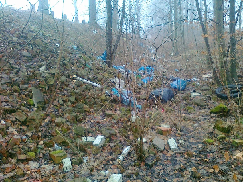 Śmieci w Lasach