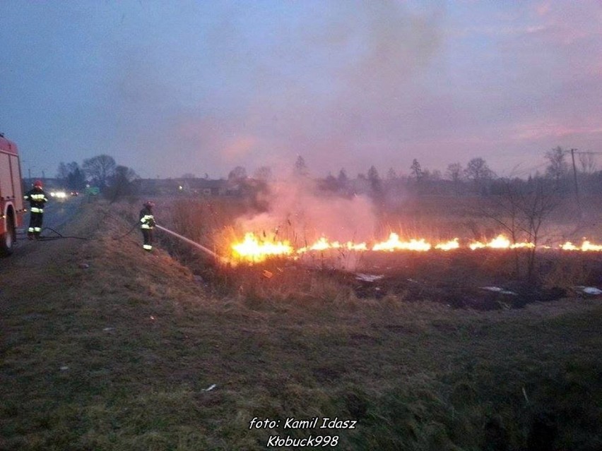 Pożar suchych traw w Łobodnie [FOTO]