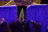 Częstochowa uruchomiła iluminację świąteczną! [FOTO]