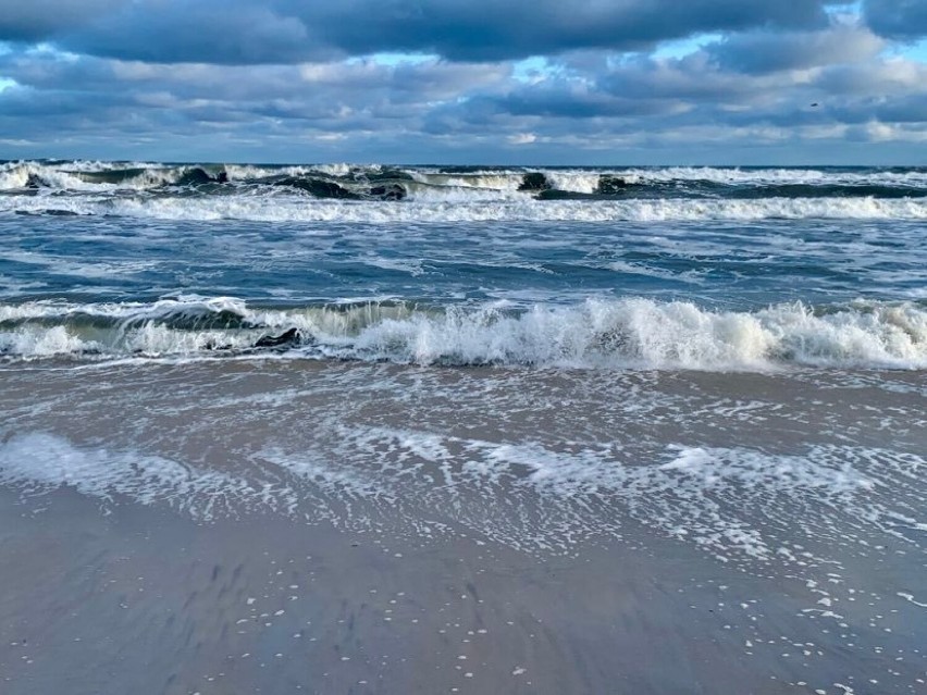 Jastarnia po sztormie (30.01.2022). Bałtyk zabrał sporo plaż, wejścia na plaże zarzucone roślinami. Bałtyk niszczył brzegi | ZDJĘCIA, WIDEO