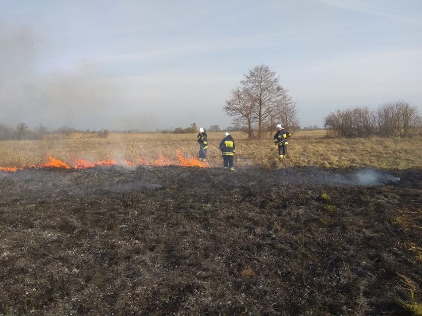 Tym razem podpalacz przesadził- komentują strażacy z OSP w Sieradzu [zdjęcia]