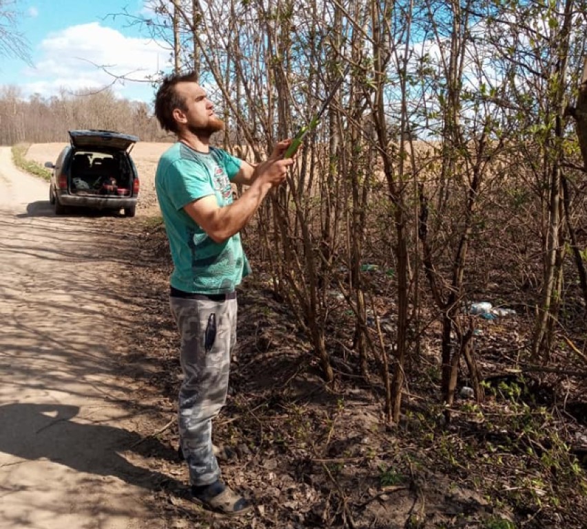 Sołtys wsi Słupie (gmina Bakałarzewo) przycięła przydrożne krzewy