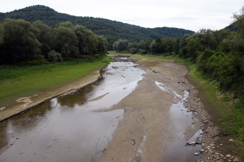 Susza hydrologiczna w Bieszczadach. Niski stan wody w Sanie [ZDJĘCIA]