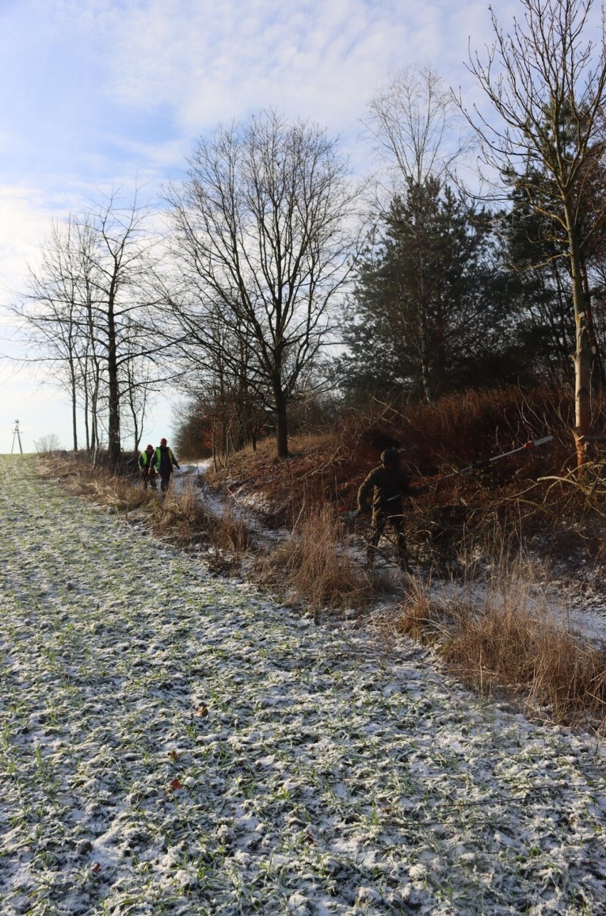 Więźniowie pracowali w lasach w okolicy Wągrowca 