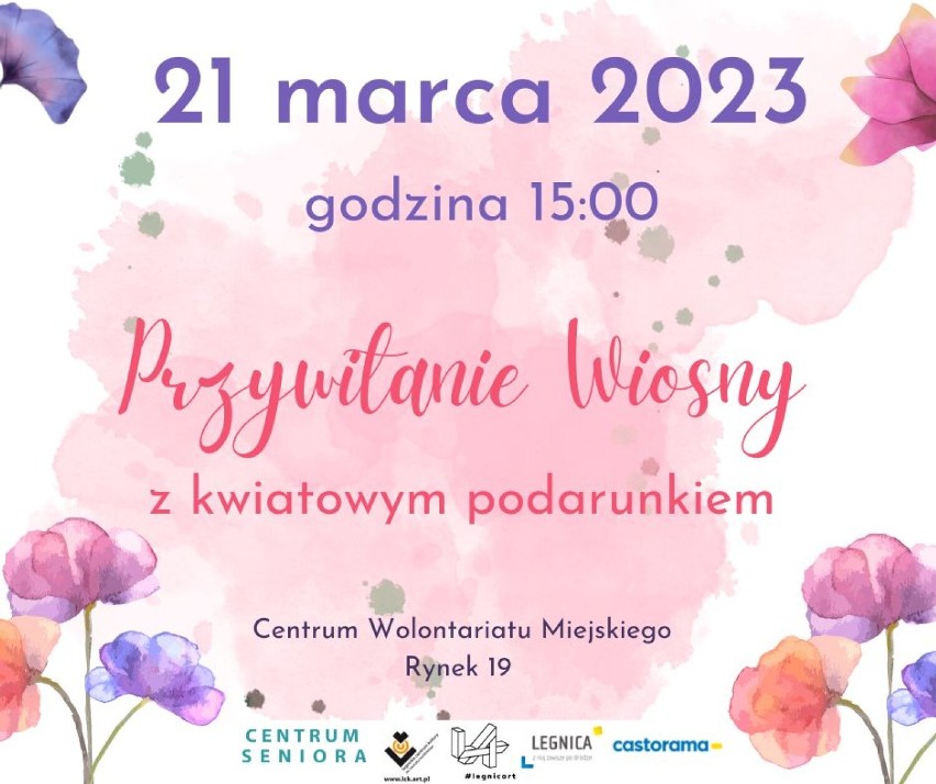 Legniccy seniorzy hucznie powitają wiosnę! Jutro 21 marca odbędzie się happening, podczas którego obdarują kwiatami mieszkańców