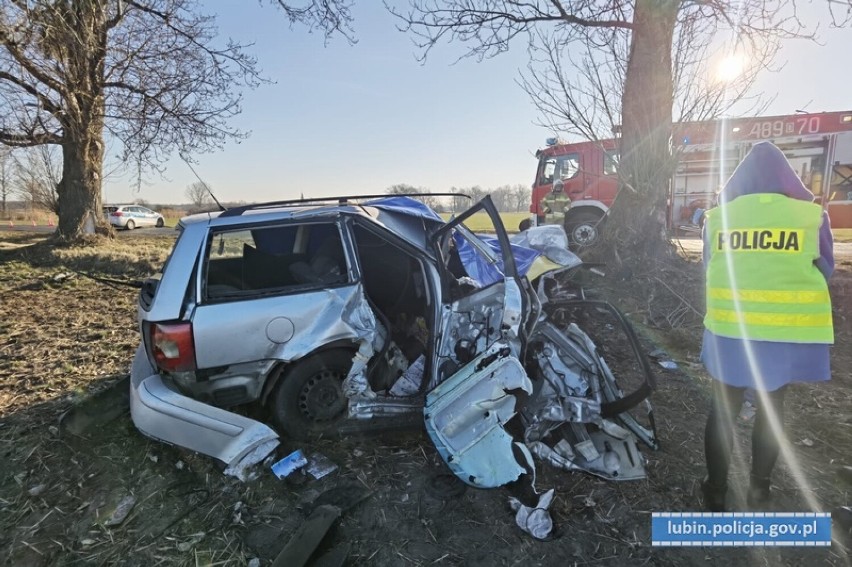 Dolny Śląsk. Koszmarny wypadek pod Ścinawą. Samochód uderzył w drzewo. Kierowca zginął na miejscu