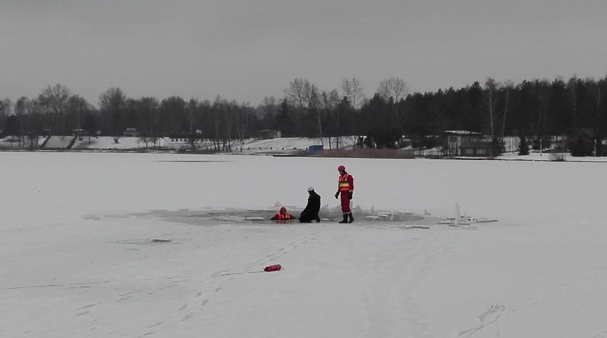 Strażacy ćwiczą na Sosinie ratownictwo lodowe ZDJĘCIA i WIDEO