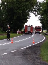Na drodze Kostrzyn - Górzyca auto uderzyło w drzewo