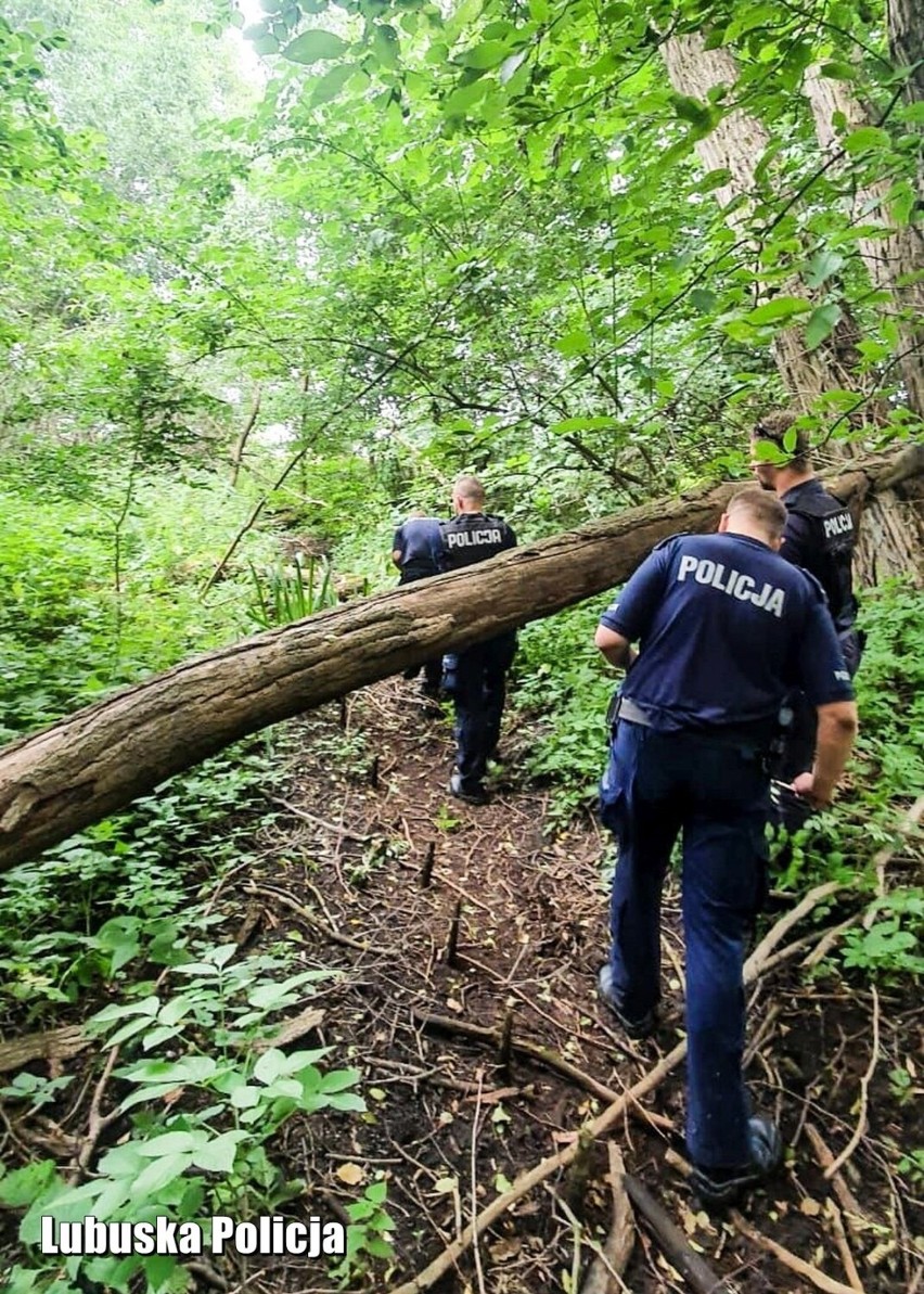 Trwają poszukiwania zaginionego 76-latka