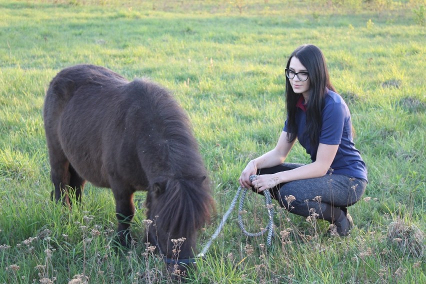 Le Grand Galop. Piknik i zawody w ujeżdżeniu w Wiskitnie