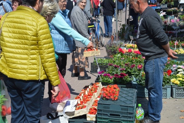 Na placu targowym jest coraz więcej truskawek. Zobacz ceny warzyw i owoców >>>