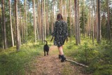 Wyjeżdżała za granicę, więc przywiązała psa do drzewa w lesie. Odpowie za to karnie