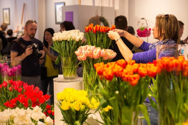 Wielka wystawa tulipanów w Warszawie. Będzie można zobaczyć prawie 100 odmian!