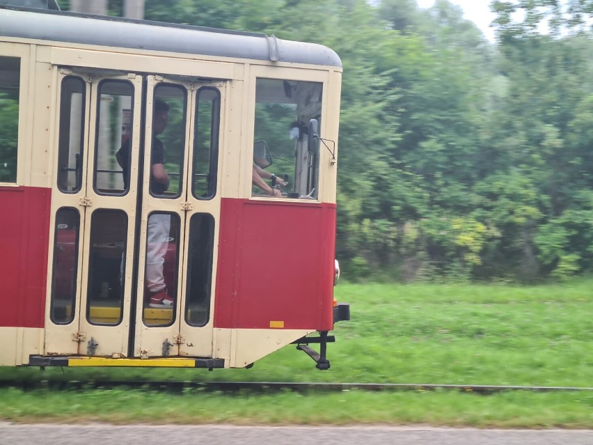 Klub Miłośników Tramwajów w Elblągu wznawia działalność. Ta historia budzi podziw!