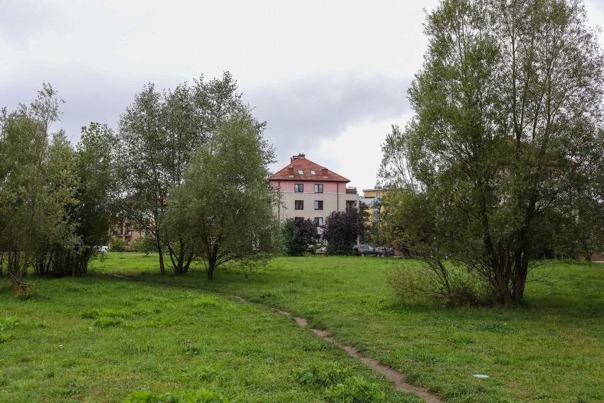 Zielony (jeszcze) teren wokół ulicy Przygodnej.