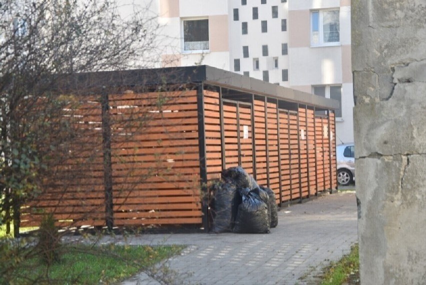 Ilu mieszkańców pomorskich miast płaci za śmieci i czy te...