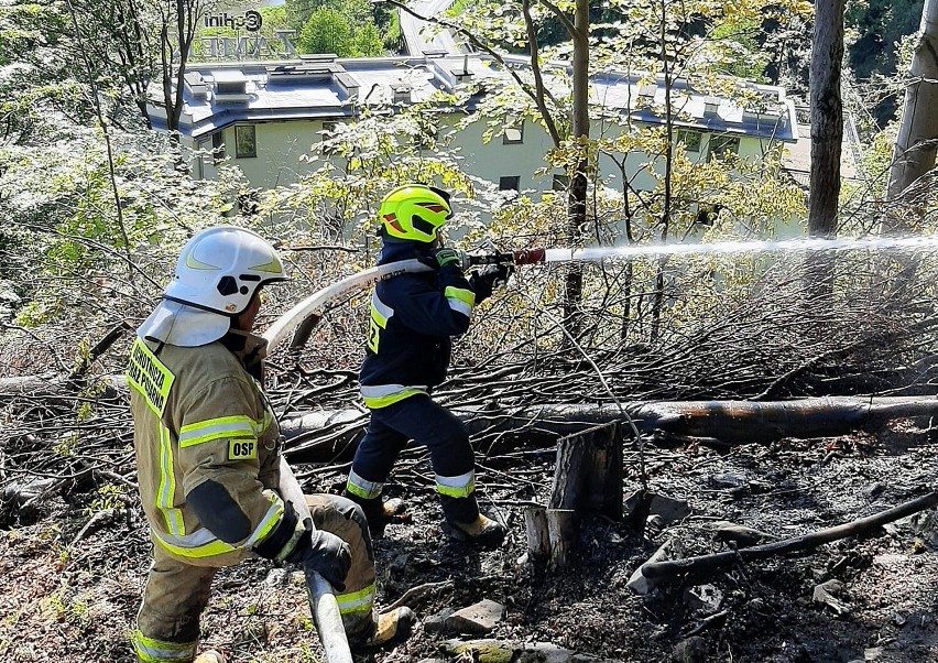 Las płonął w dolinie Popradu. Stok góry był tak stromy, że strażacy używali drabin