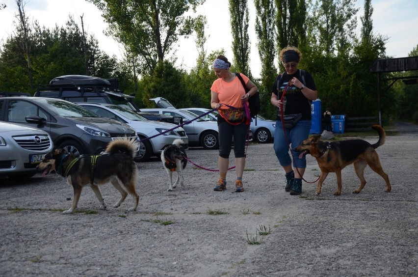 Rajd Dog Orient na górze Kamieńsk.Blisko setka uczestników wędrowała leśnymi ścieżkami kopalnianej góry [ZDJĘCIA]