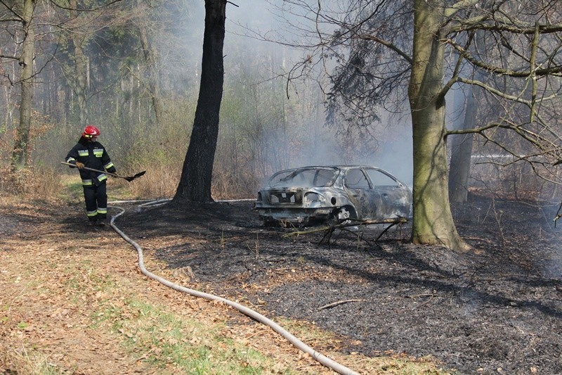 Syców: Napad na jubilera, pożar auta w lesie