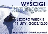 Zawody w Czrsku: Wyścigi kartingowe na Jeziorze Wieckim