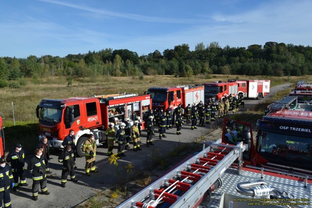 Druhowie trenowali gaszenie pożaru lasu w Nadleśnictwie Wymiarki