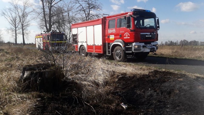 Na trasie Bierutów-Bukowie paliły się trawy    