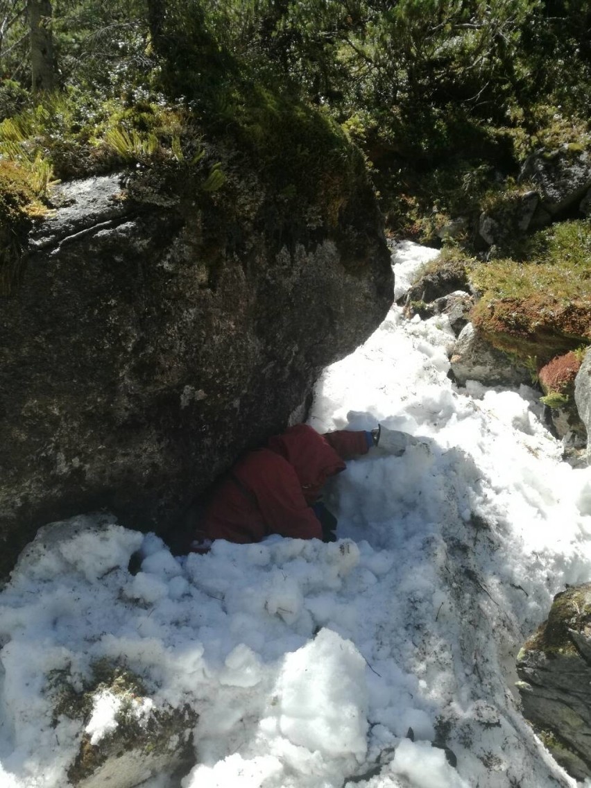 Tatry. Wspólne ćwiczenia polskich i słowackich psów ratowniczych [ZDJĘCIA]