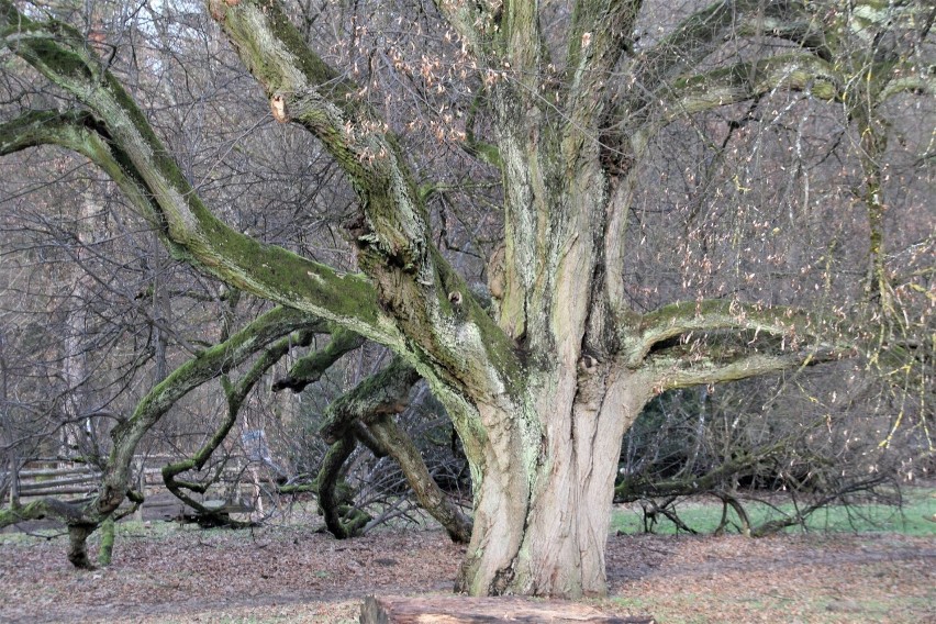 Malownicza Florianka na terenie Roztoczańskiego Parku...