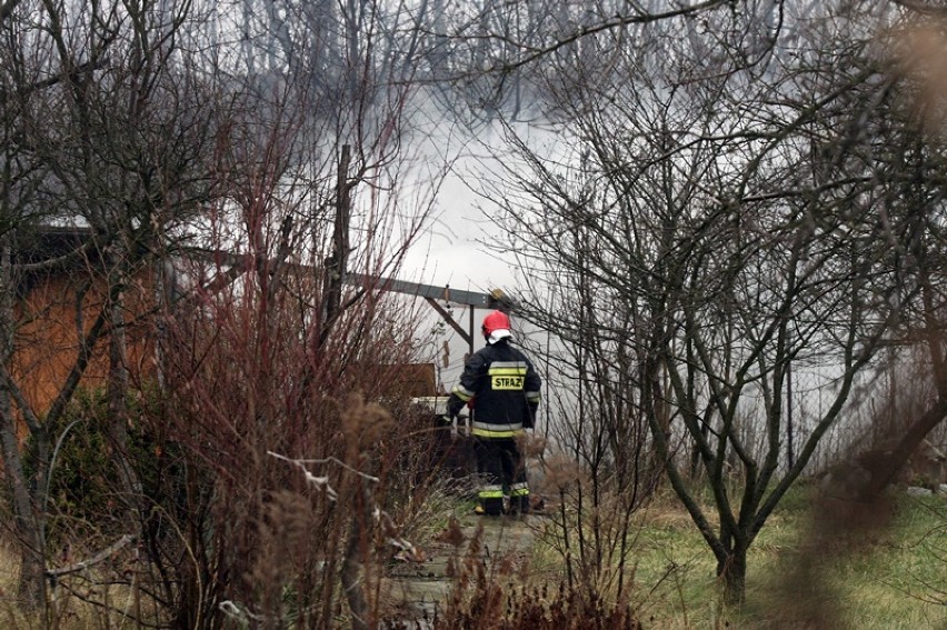 Płoną altany przy ulicy Pątnowskiej w Legnicy [ZDJĘCIA]