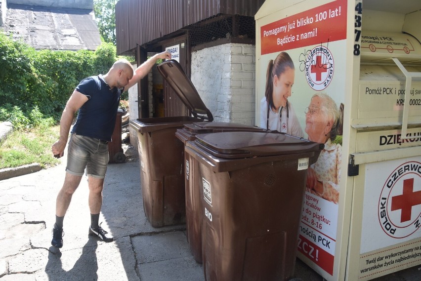 Tarnów. Plaga szczurów na osiedlu Grabówka. Gryzonie w upały biegają po ulicach. Mieszkańcy są w strachu