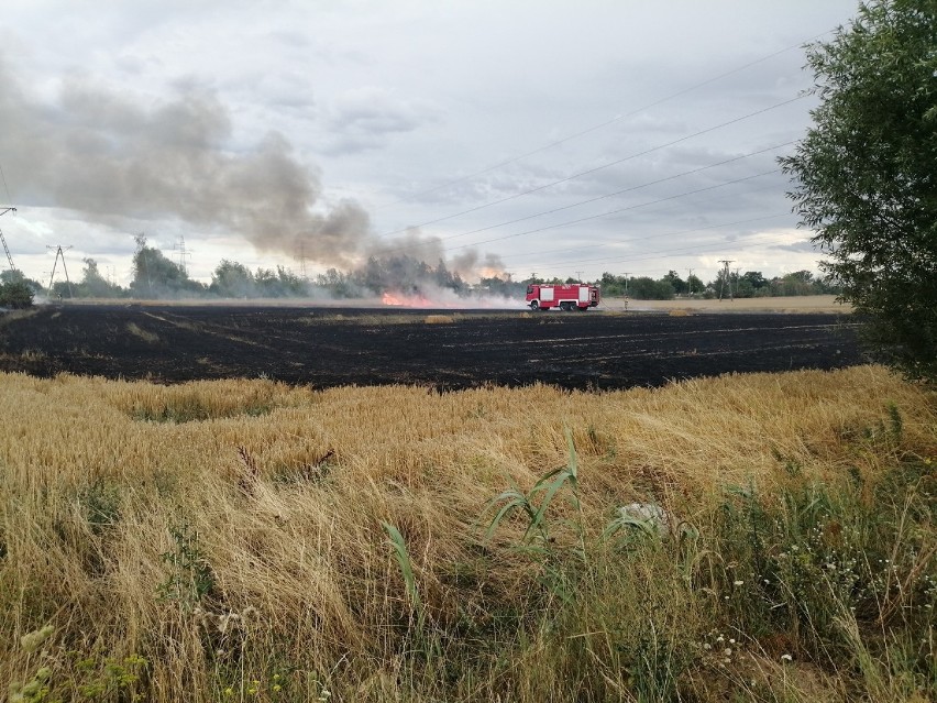 Pożar na osiedlu Piekary w Legnicy. Była obawa, że zajmą się garaże! [ZDJĘCIA]