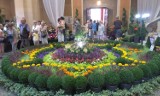 Zgorzelec: Święto Kwiatów znów zachwyci w Miejskim Domu Kultury!
