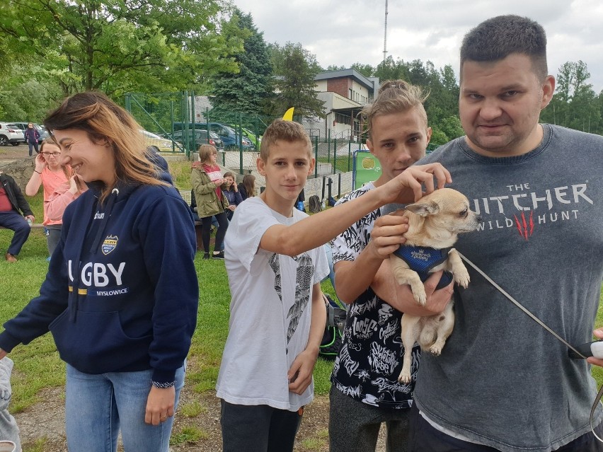 Hegemon Akademia Rugby w Mysłowicach zorganizowała piknik...