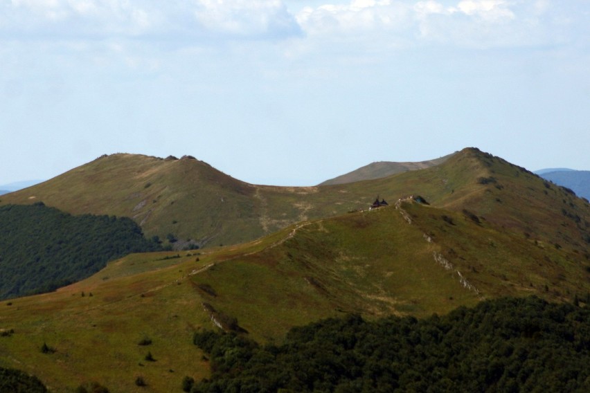 Połonina Wetlińska (1255 m n.p.m.) wzięła swoją nazwę od...