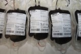 Nieduże zapasy krwi. RCKIK apeluje do dawców!