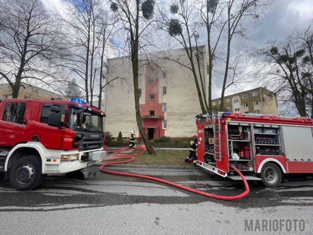 Pożar na osiedlu Dambonia w Opolu. Jedna osoba nie żyje, druga trafiła do szpitala