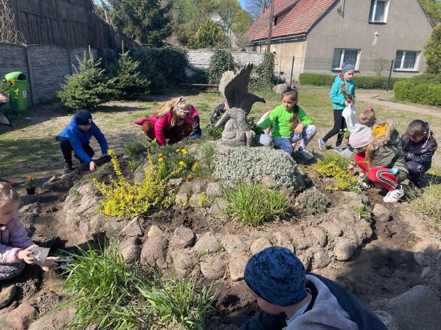 ZSP Chrośnica gmina Zbąszyń. Tutaj królują bratki, czyli wielkie sadzenie kwiatów na terenie szkoły - 28.04.2022