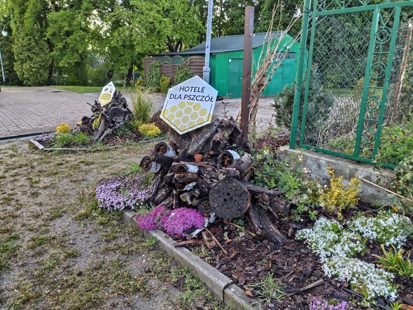 Ogródek edukacyjny ,,Cztery pory roku"